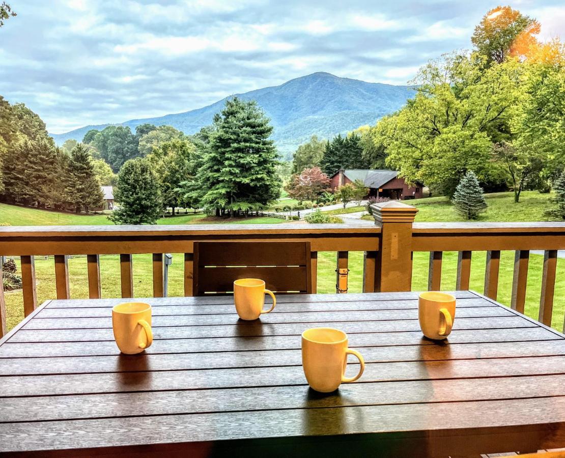 Ole Smoky Bnb - Game Room, Hot Tub, Mtn Views! Пиджен-Фордж Экстерьер фото